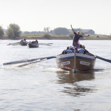 Steurtocht: met zestig sloeproeiers de IJssel af